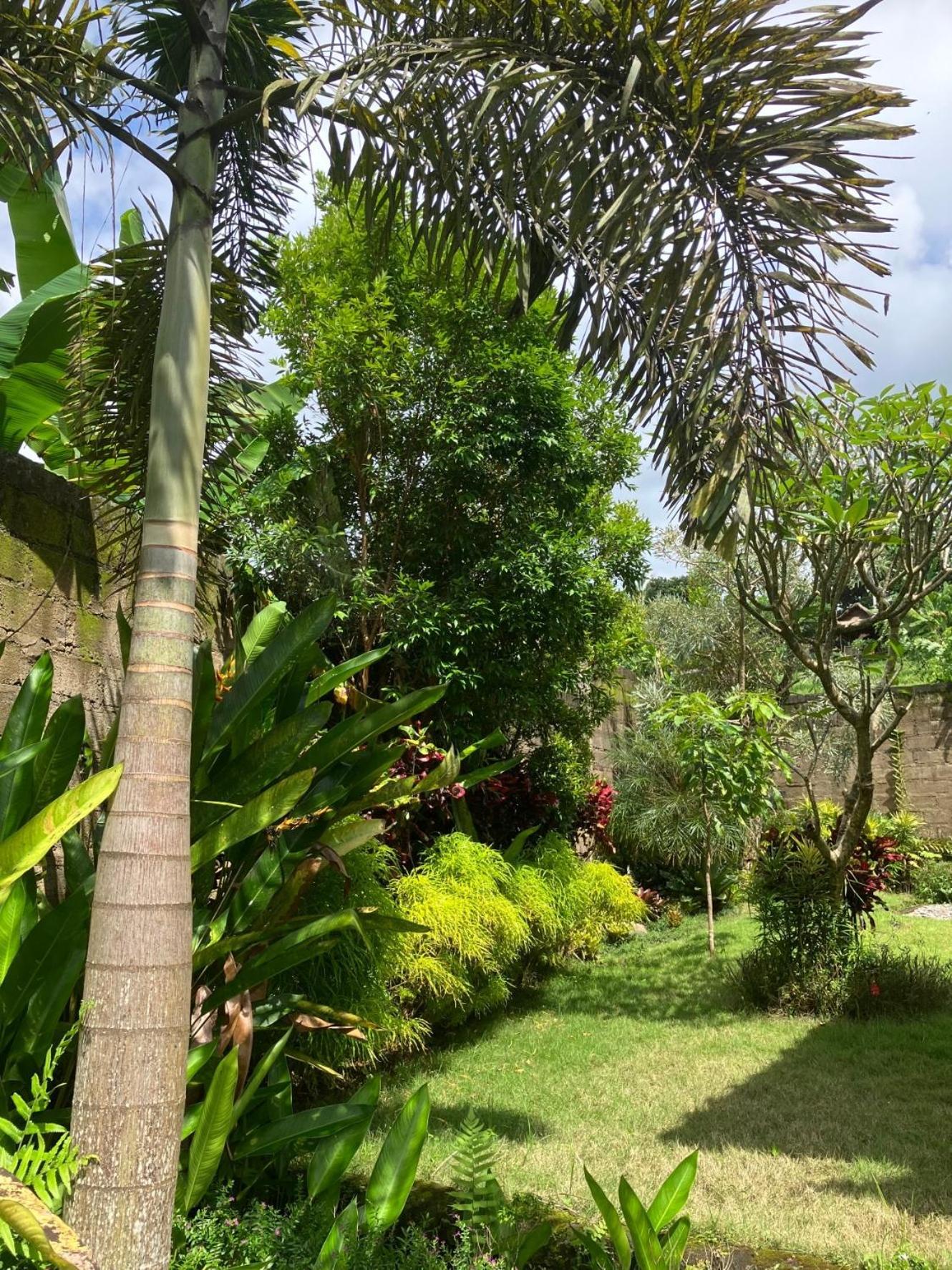 Villa Kelana Sidemen  Exterior photo
